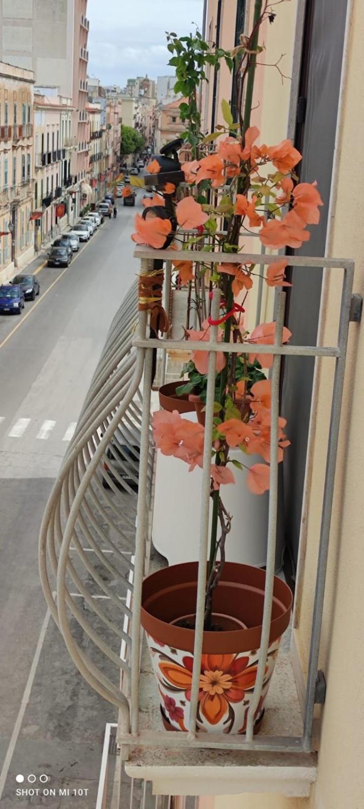 Elisir Casa Vacanze Trapani Exterior foto